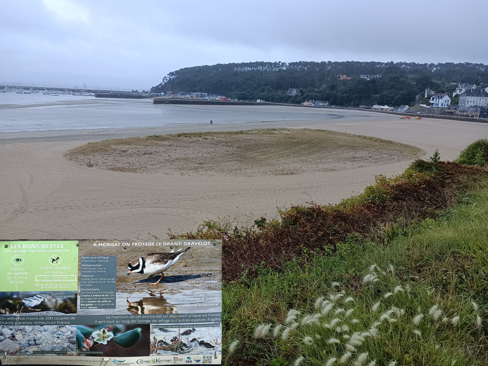 Заповедник Бретань Bretagne Финистер Finister пляж заповедник птица галстучник зуек