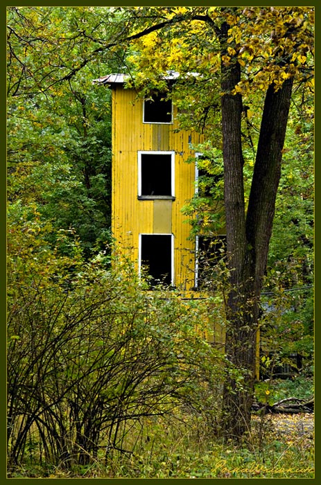Осень. лес, дом