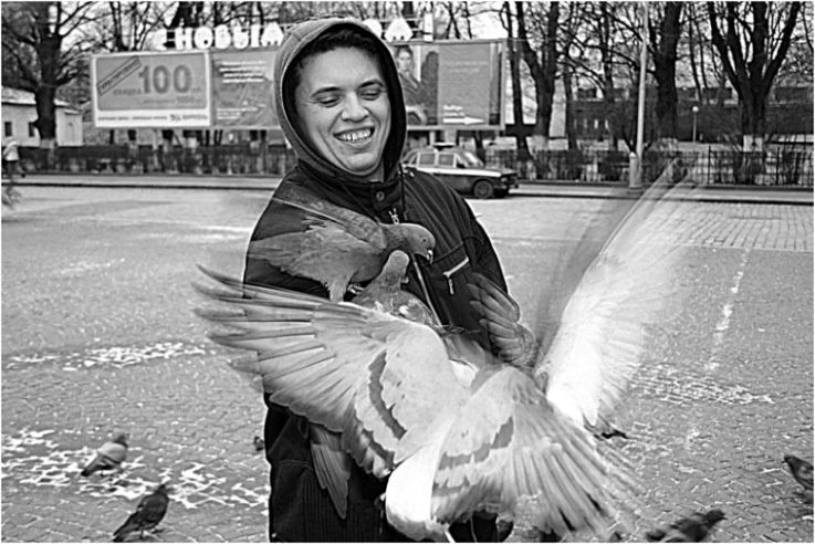 Птицы 