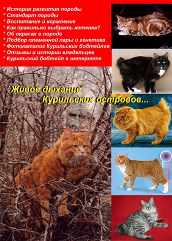 макет книги макет книги