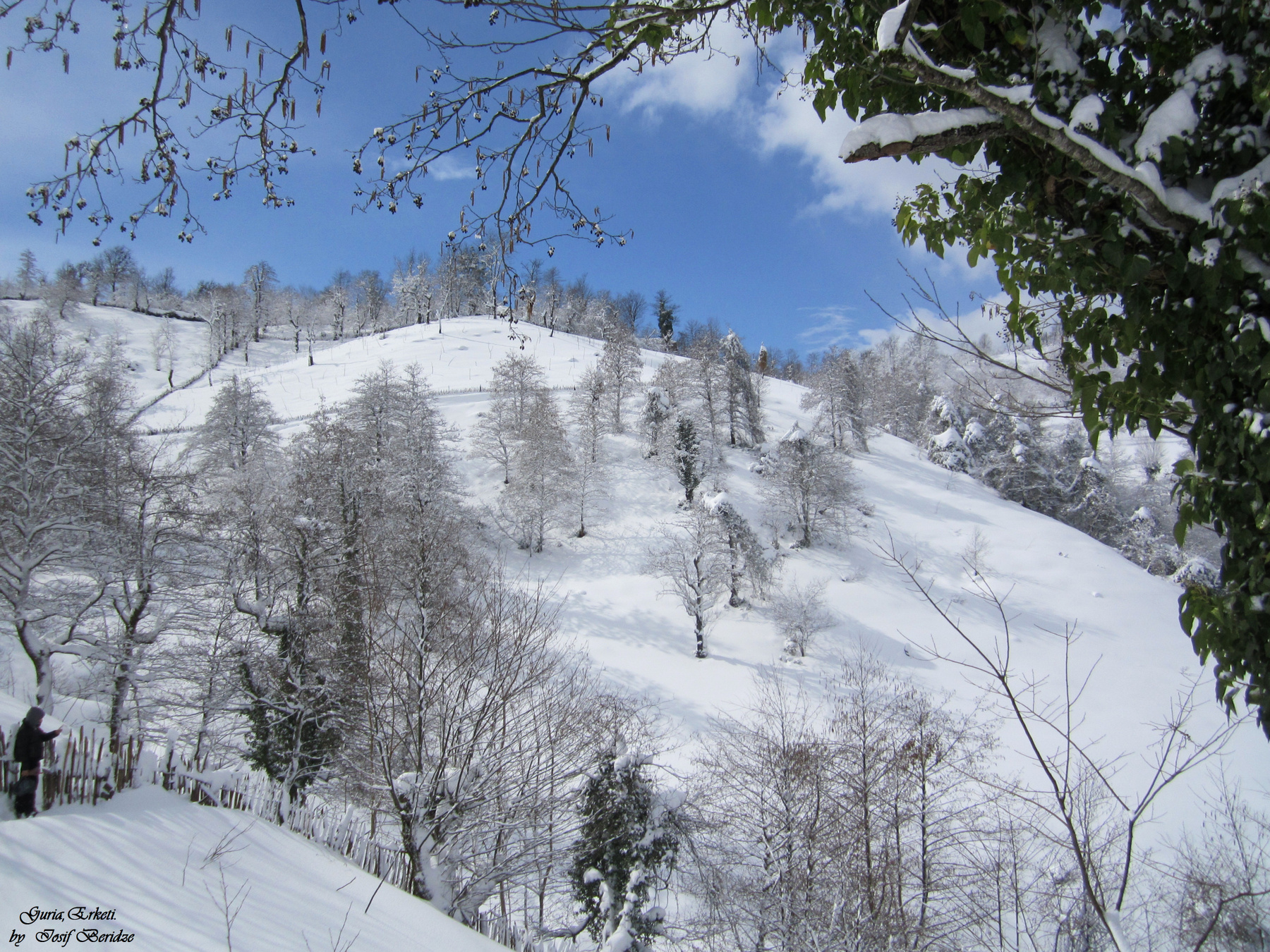 Erketi,Guria. Erketi Guria Travel Georgia Грузия Гурия Природа