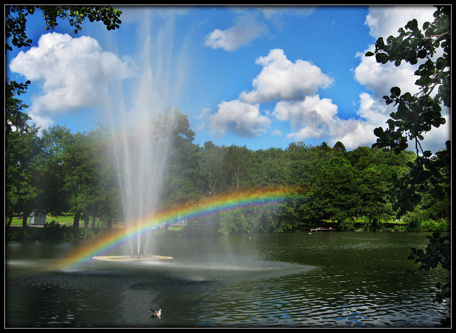 - Catch the Rainbow Ver.2 - Rainbow