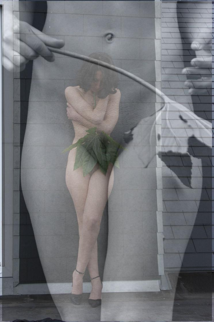Réverie superposition
