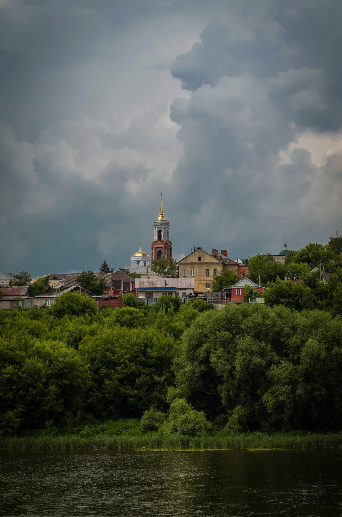 Елец перед грозой 