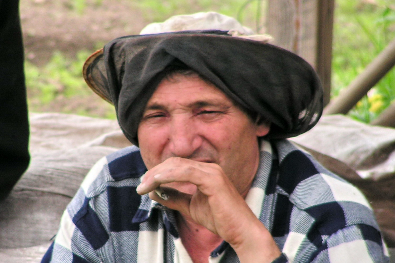 папа 