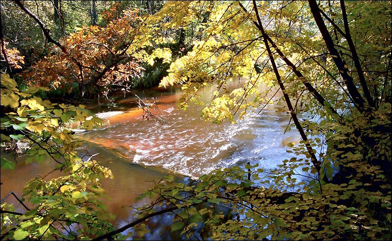Осенние перекаты мещера осень лес река