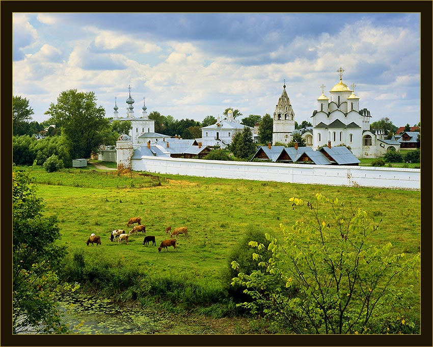 Коровки 