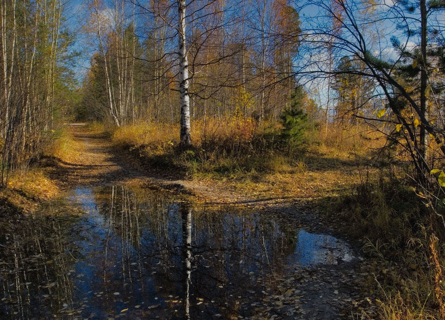 И если время, ветром разметая, сгребет их все в один ненужный ком.. 