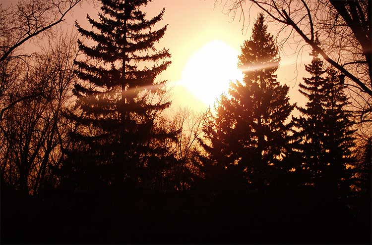 Follow the sun солнечное затмение перед