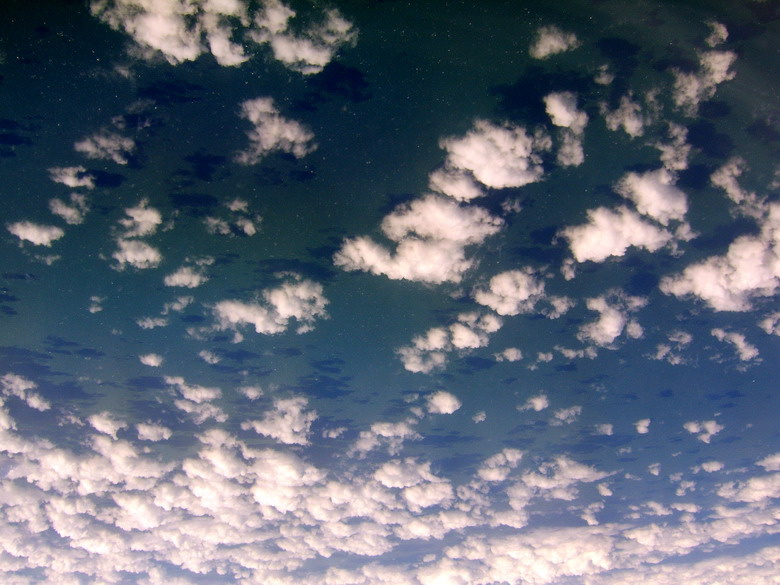 skyy 