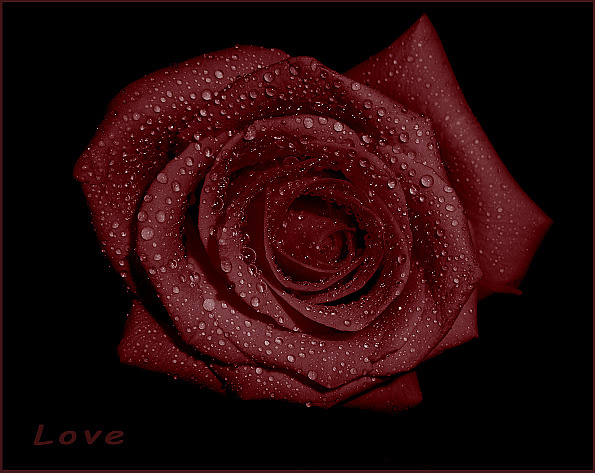 L o v e My love...is your love...