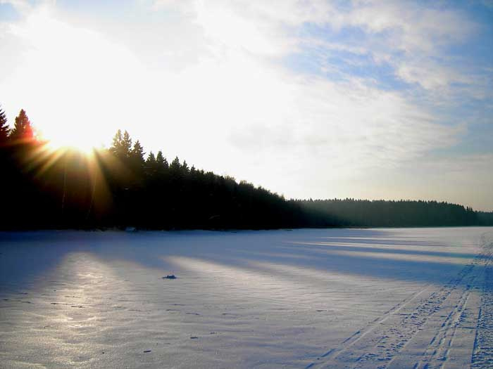 Подмосковный пейзаж лес,солнце,снег,лучи