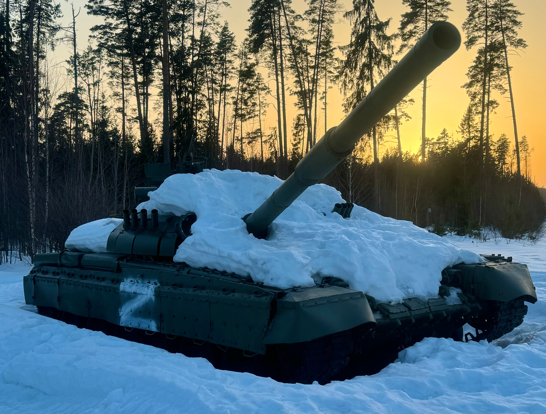 ПодZнежник в лучах заката. 