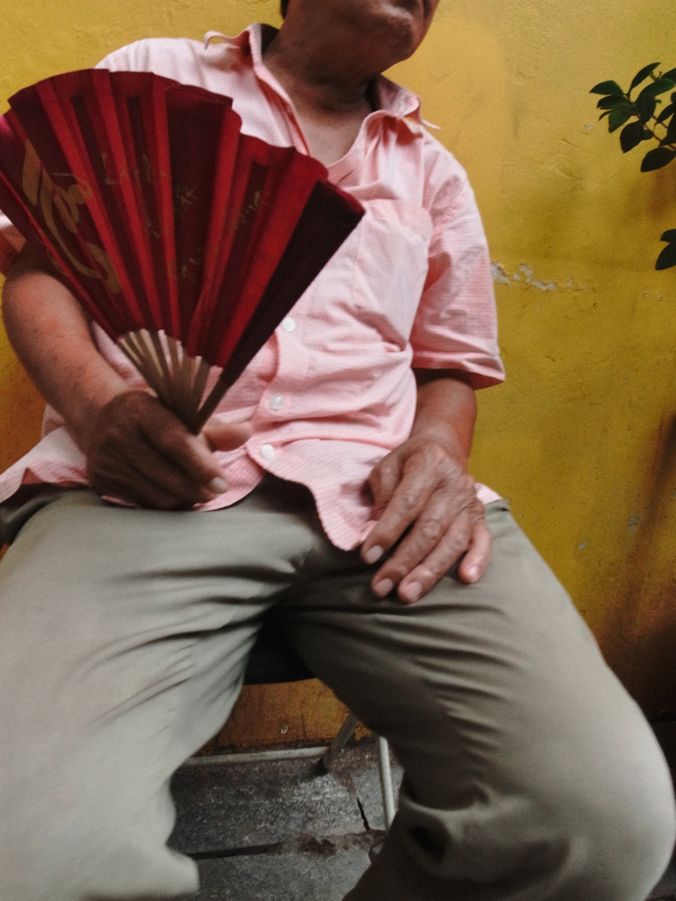 Fan 