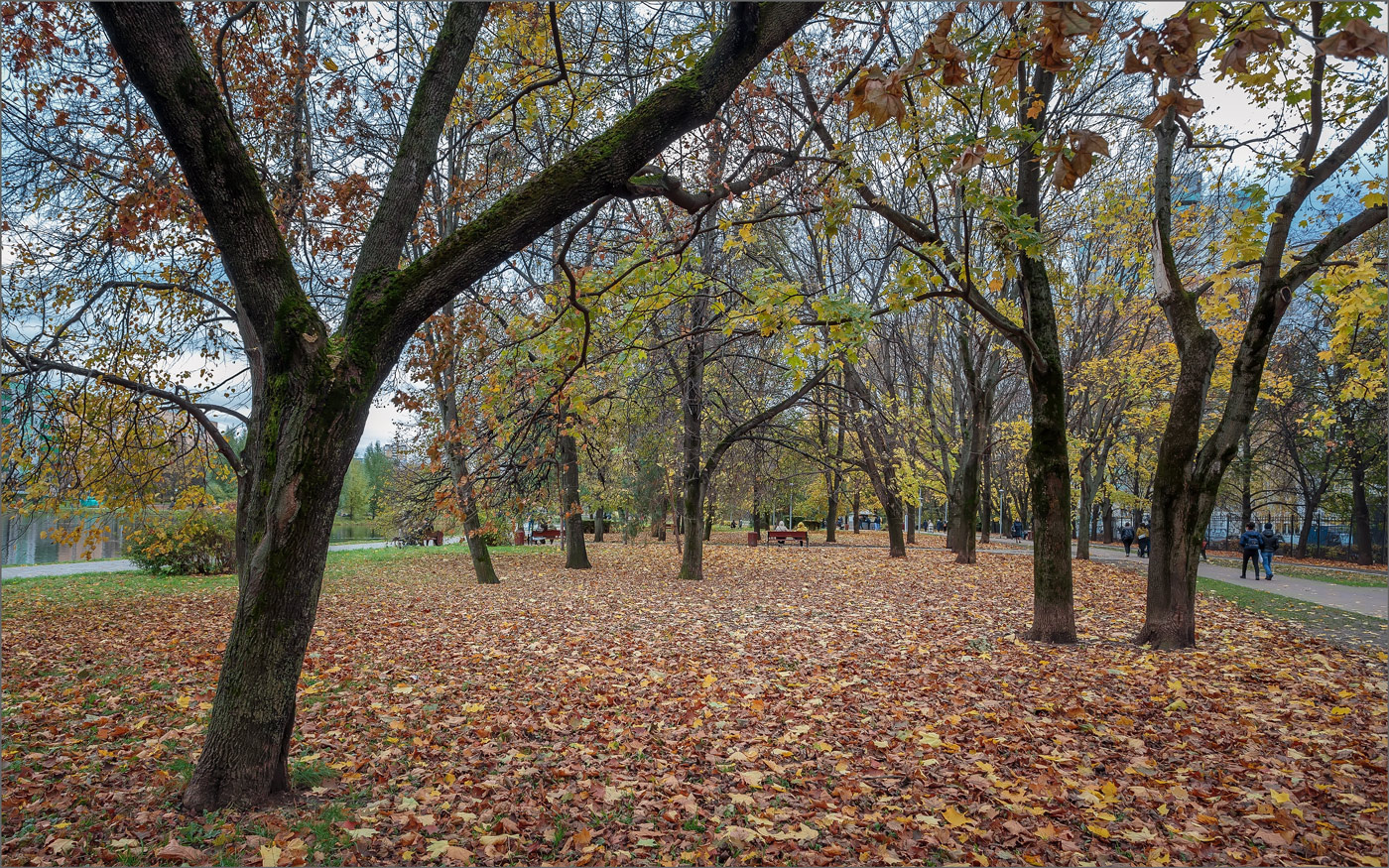 В осеннем парке... парк осень