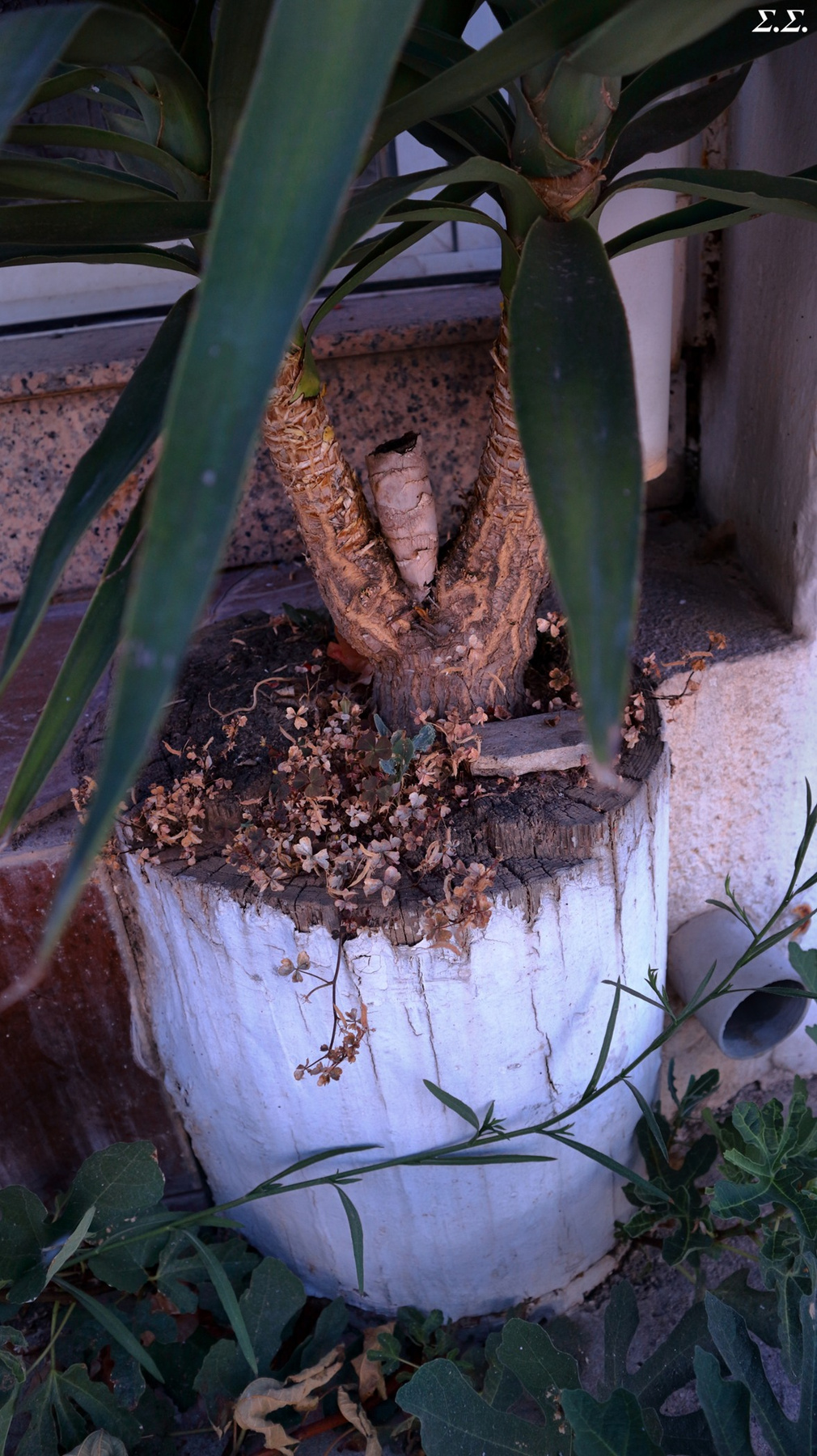 THRIVING OVER THE CUT ELECTRICITY POST 