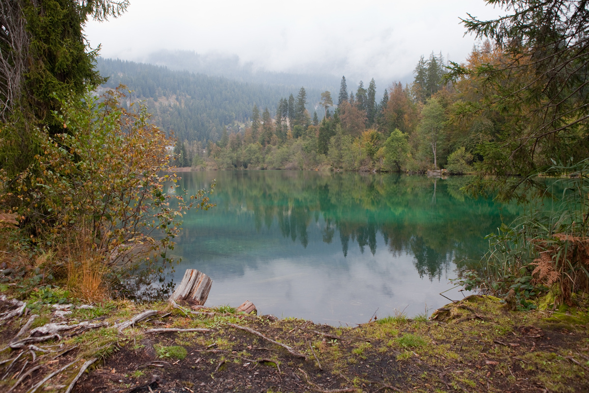 Swiss Autumn91 