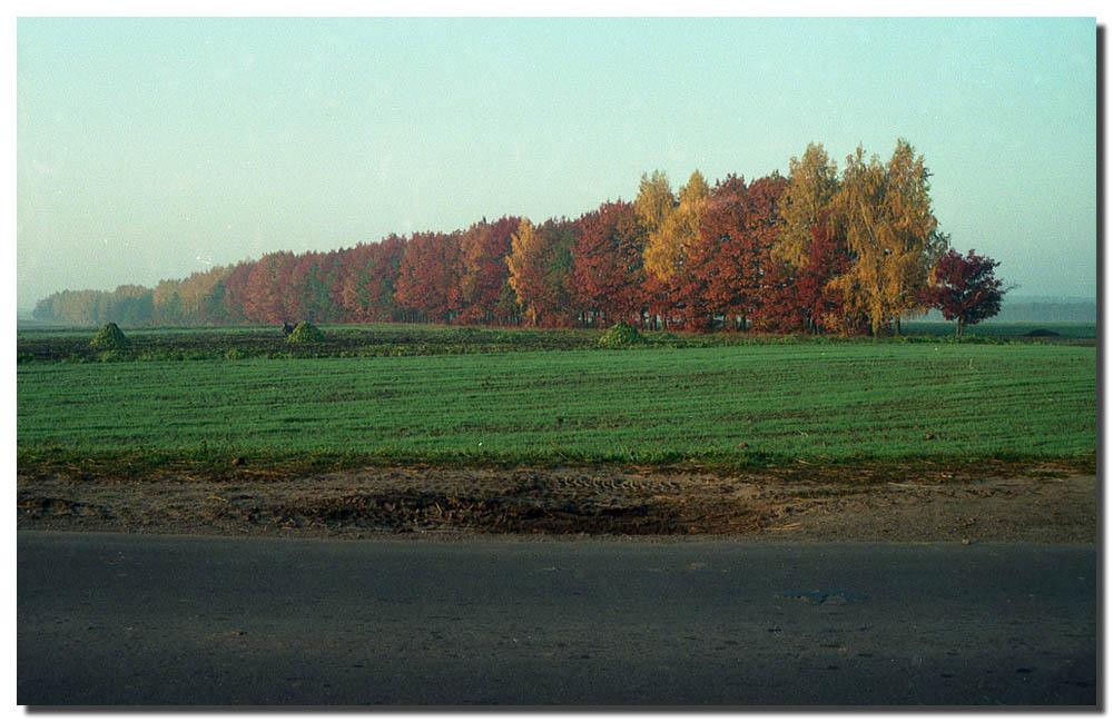 Ранняя осень 