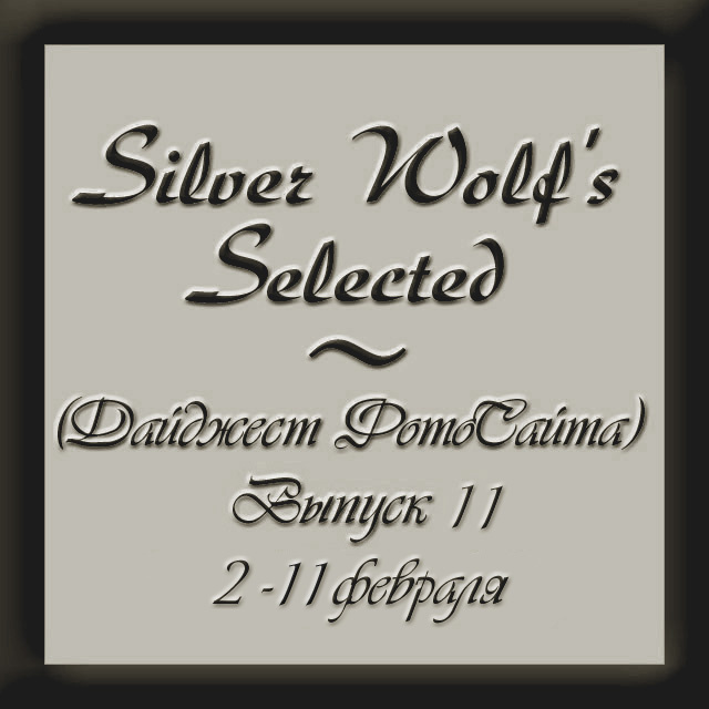 Дайджест ФотоСайта от Silver Wolf'a. Выпуск 11, заключительный. 