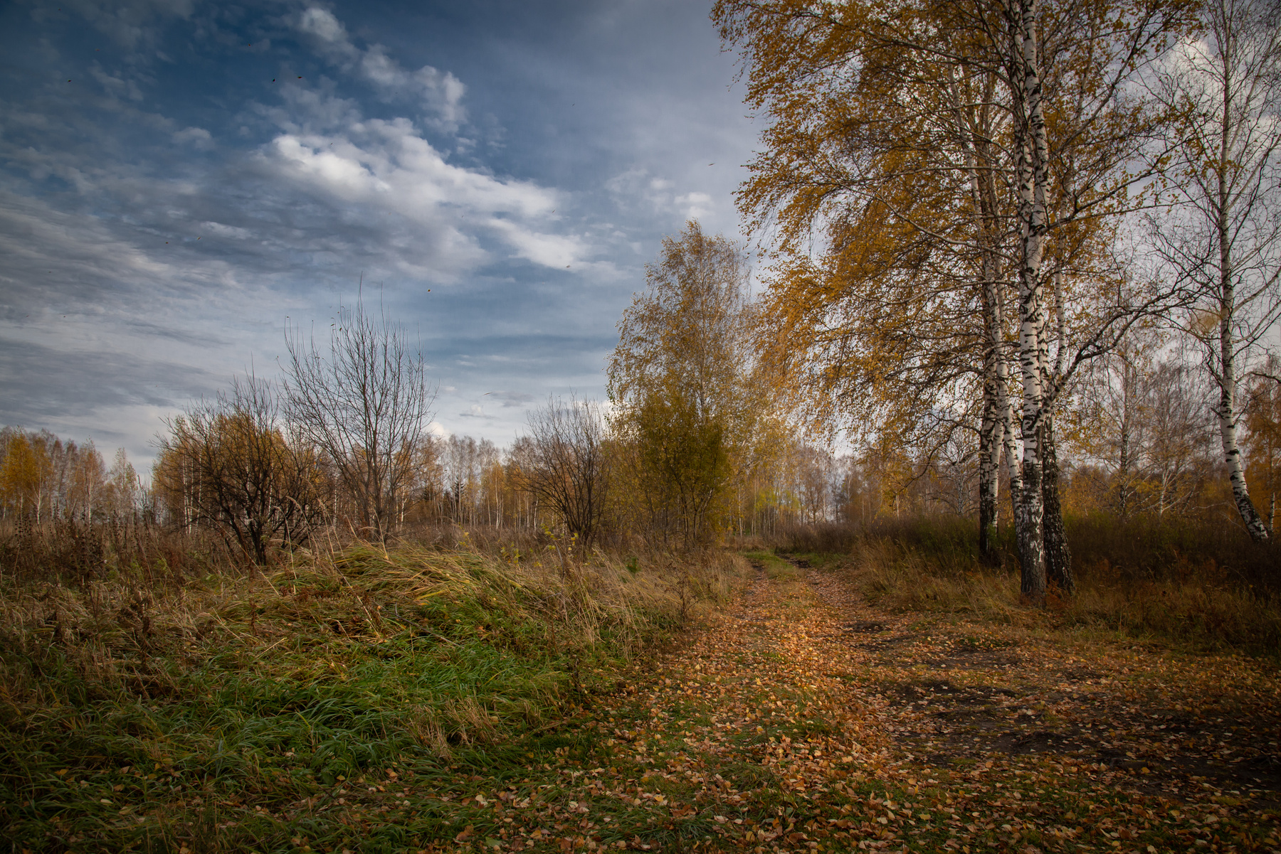 теряя осени наряд 