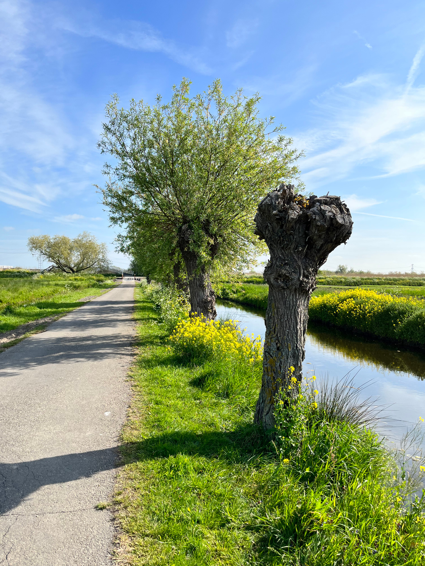 Lente 2022 Lente- Spring