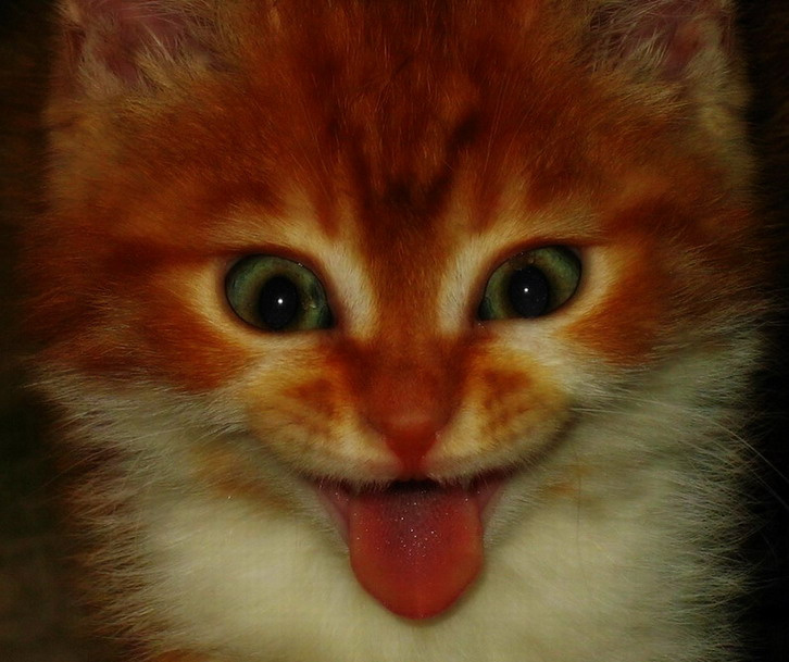 # 