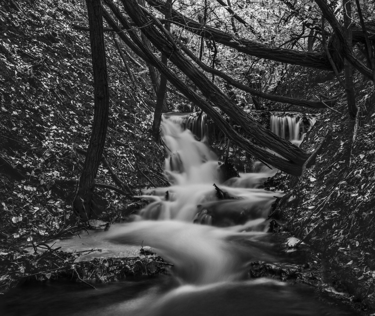 stream stream nature BW