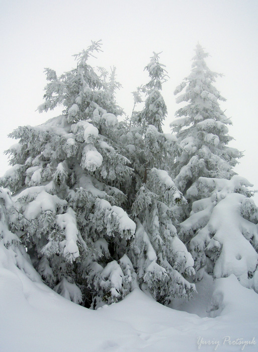 The beauty of nature #2 природа пейзаж зима nature landscape winter