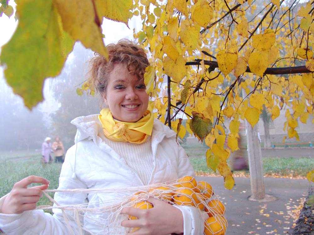 Золотая осень Лимоны, сетка, желтые листья
