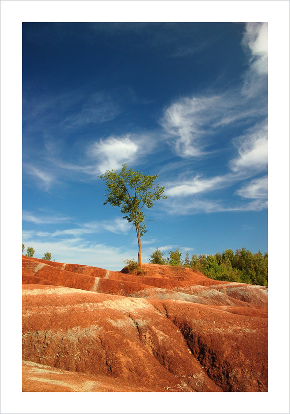 Марсианские хроники (#1) Каледон, Онтарио, Канада, Cheltenham Badlands