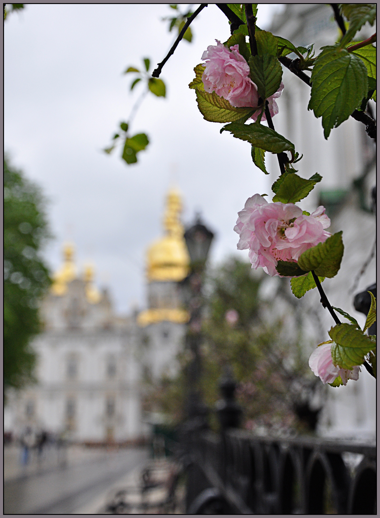 В Лавре 