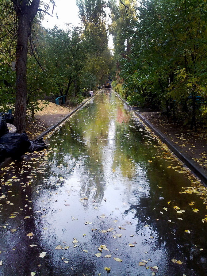 Осенняя дорожка 