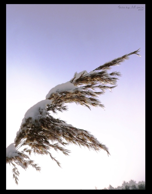 *** Зима, 2006, 2007