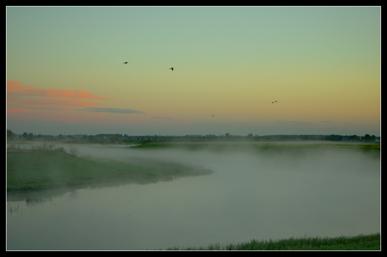 The Morning... Туман.