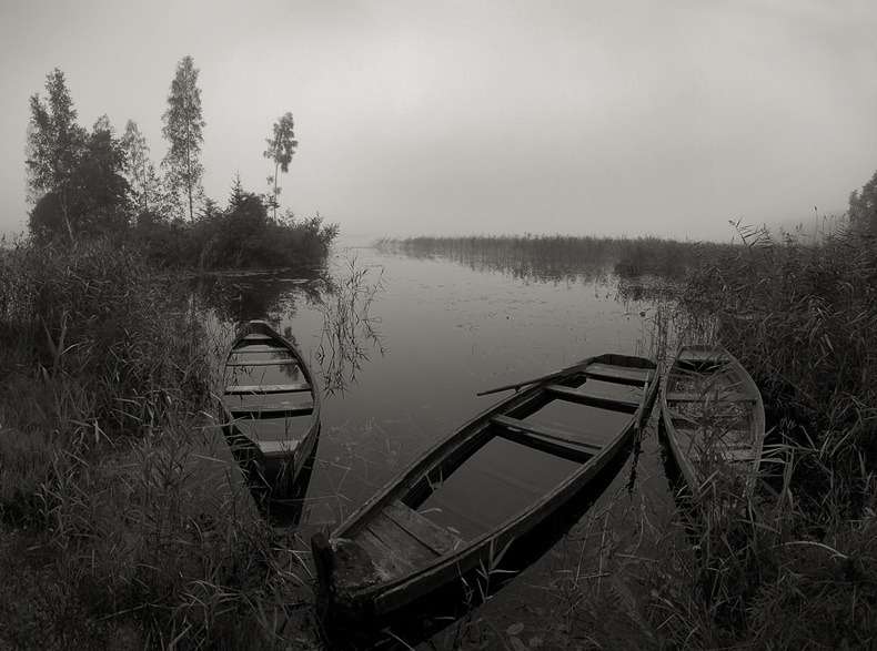 в тумане 