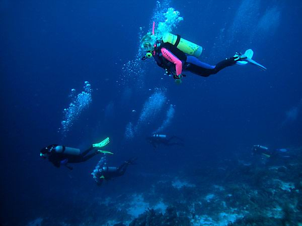 Над бездной diving