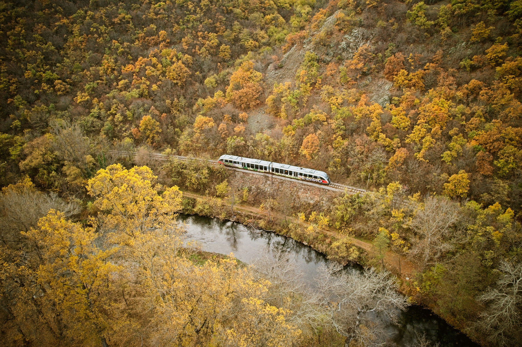 Осенние краски 