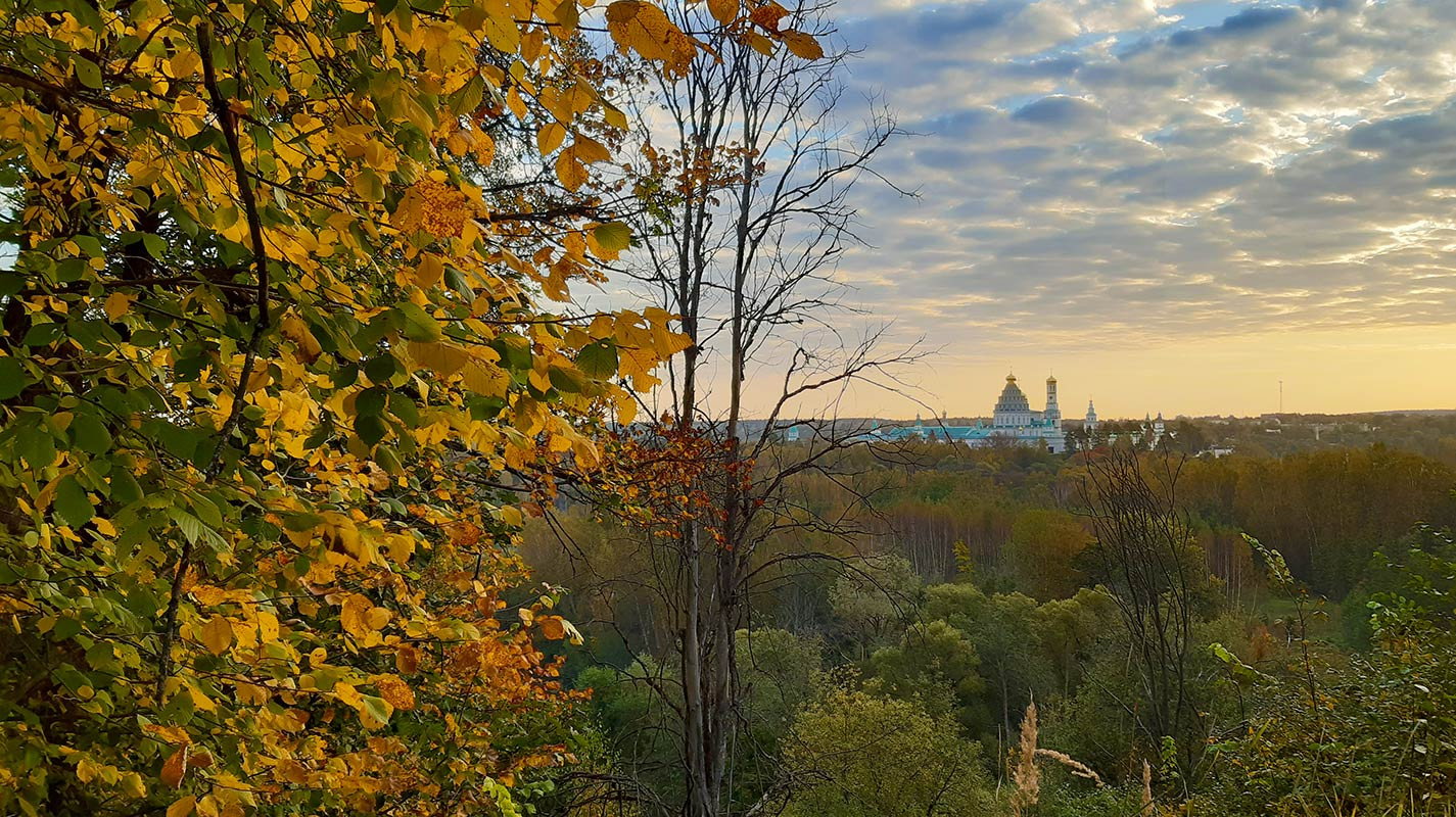 Золотая осень 
