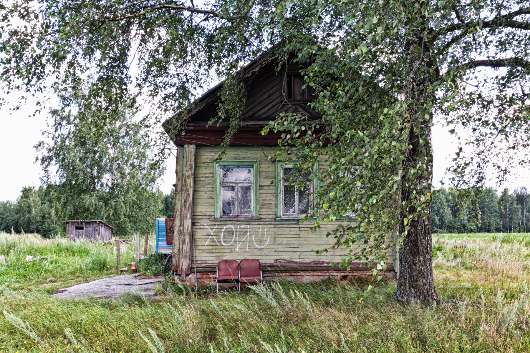 *** дом береза деревня