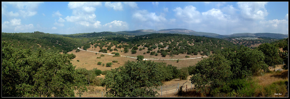 Природа природа панорама