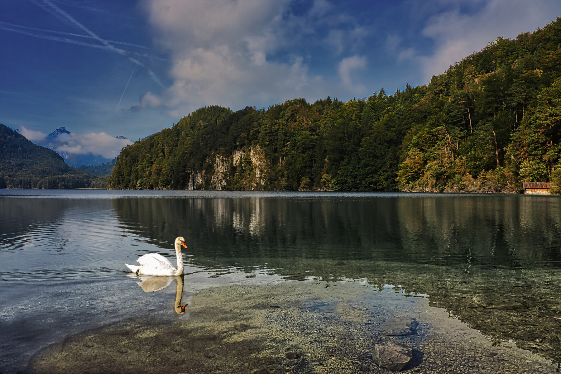 "Лебединое озеро" — Шванзее (Schwansee) в Баварии 