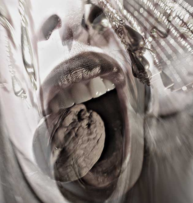NutCrackEr 