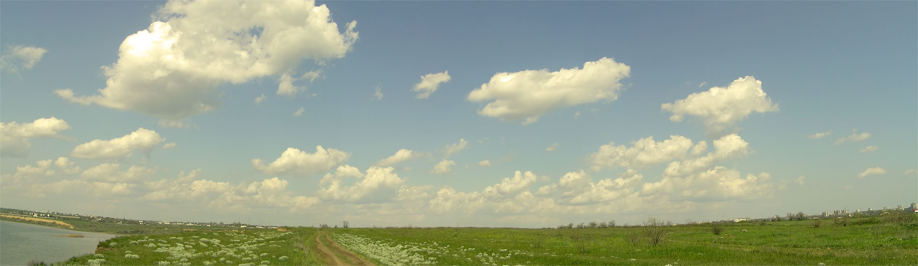 №11 