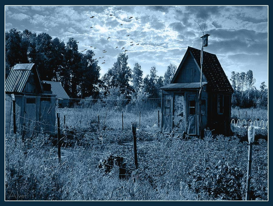 скворцы улетели 