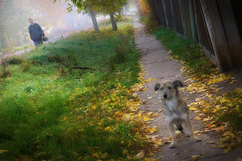 у каждого своя дорога 