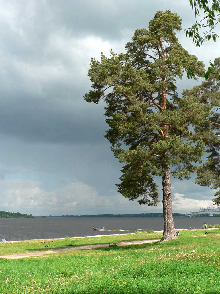 перед грозой 