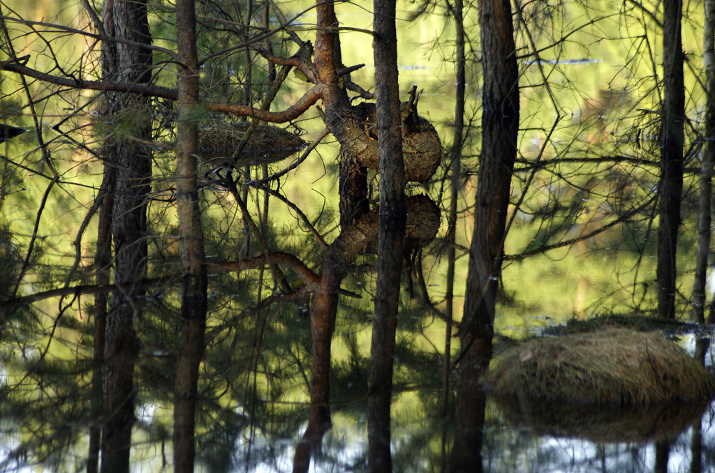 разлив.. 