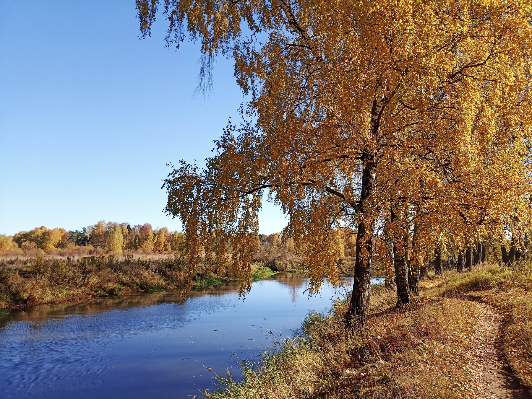 *** осень клязьма