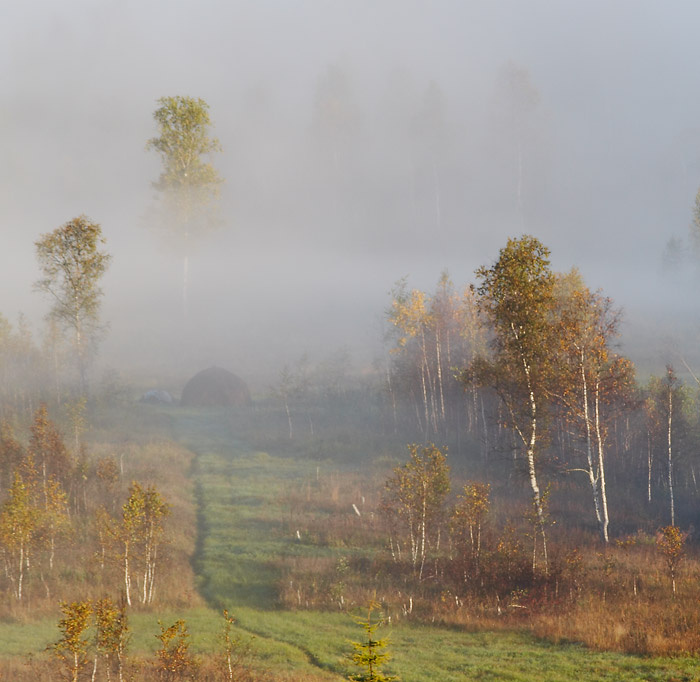 рассвет 