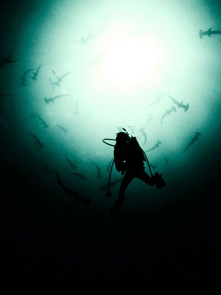 Опасные воды | Dangerous Waters underwater world